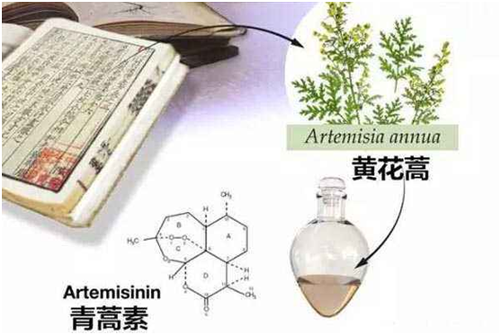 多宝体育,（中国）网站首页：向中医药看齐，与世界共享中医药文化(图1)